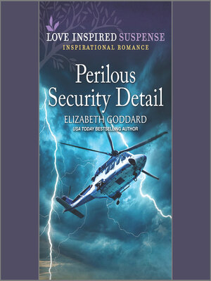 cover image of Perilous Security Detail